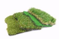 Synthetic Grass Living image 16